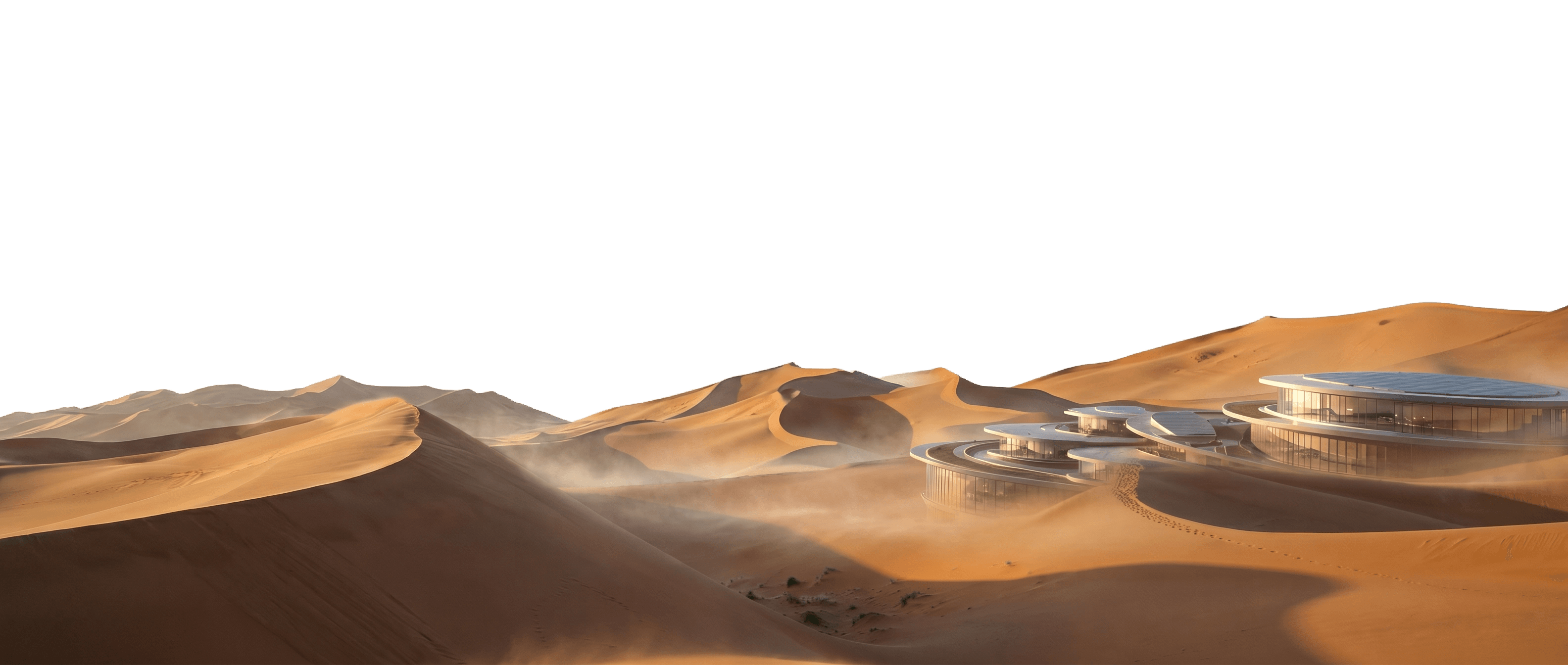 Section background